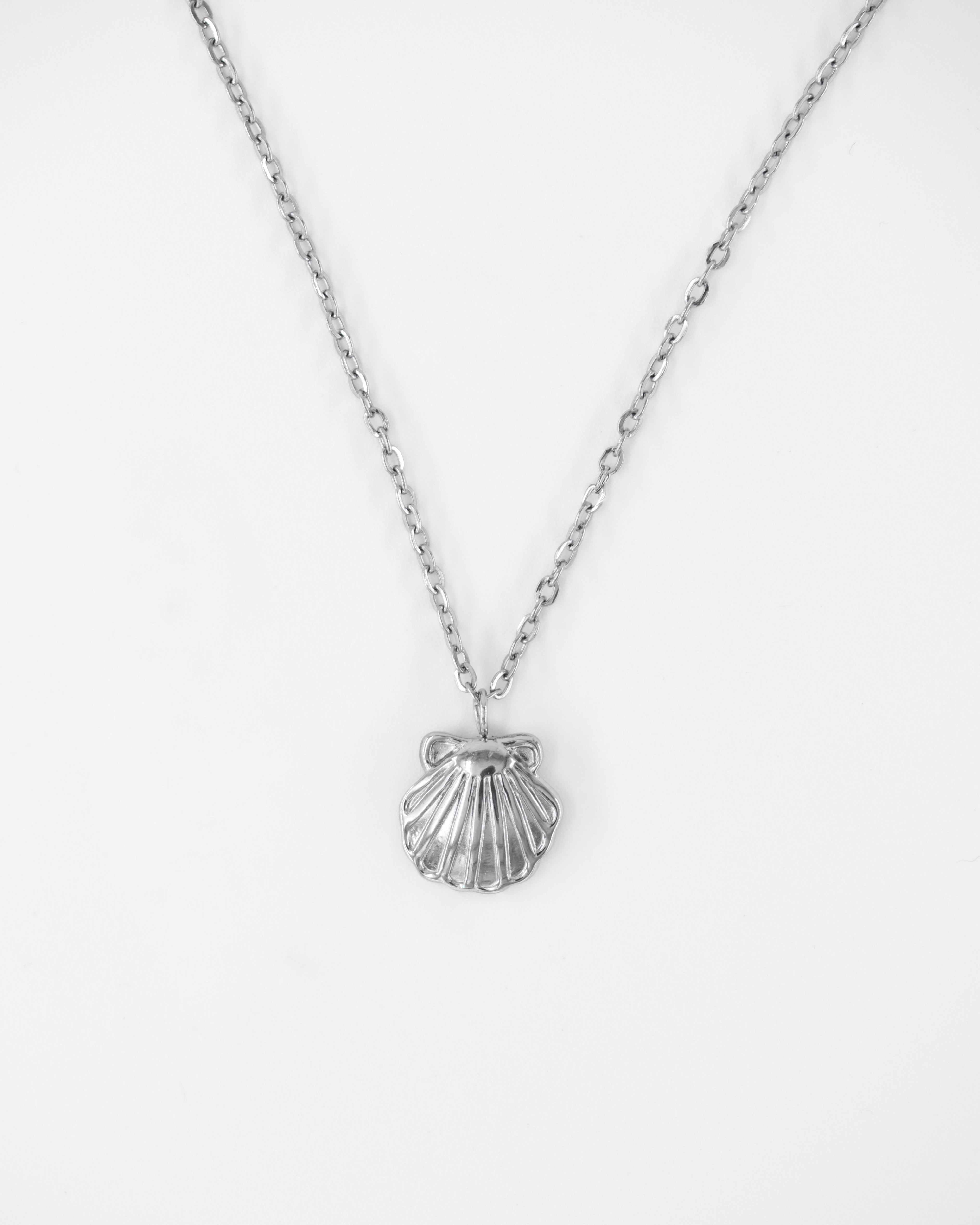 CONCH İSTİRİDYE ÇELİK KOLYE