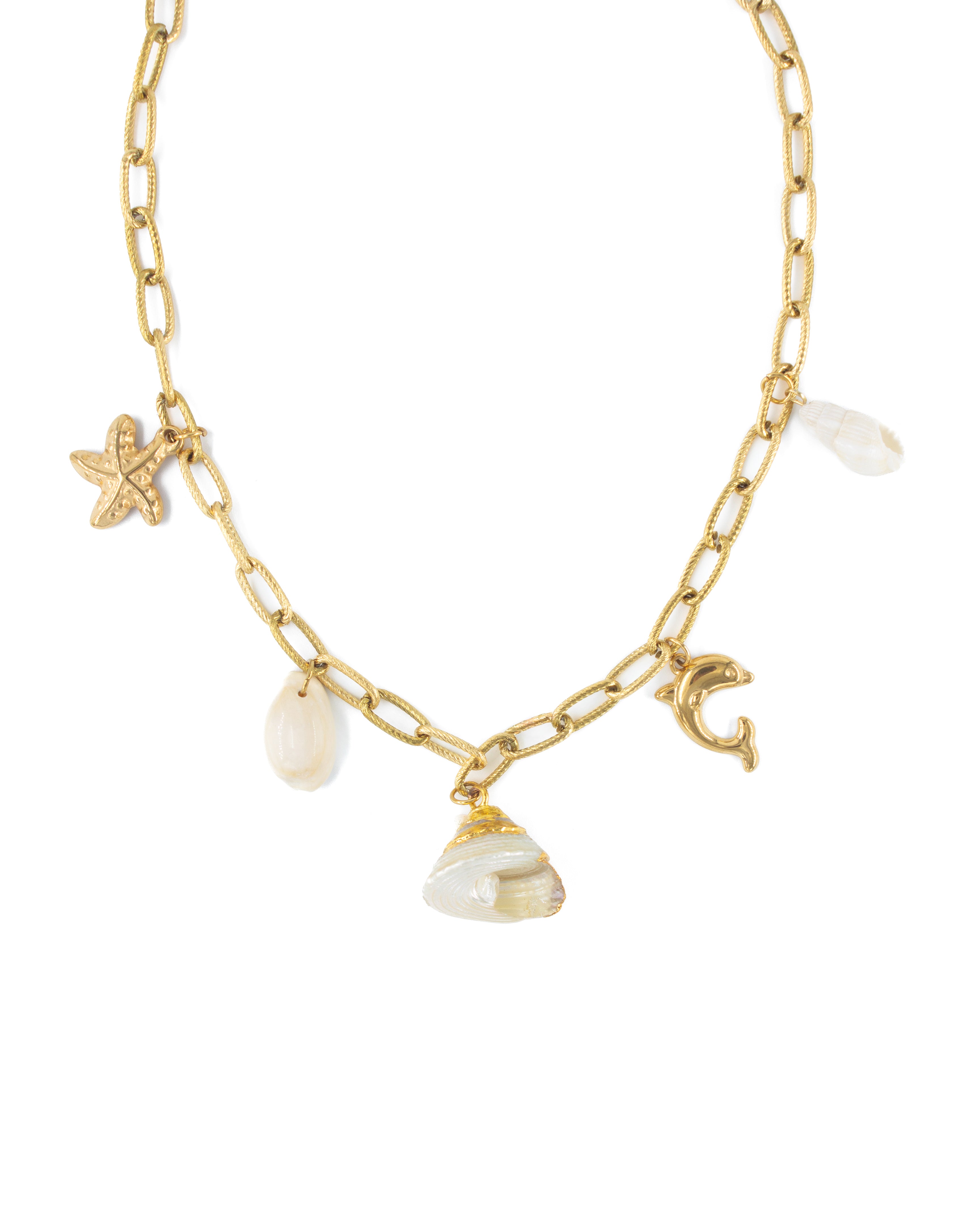 COASTAL CHARMLI ÇELİK KOLYE