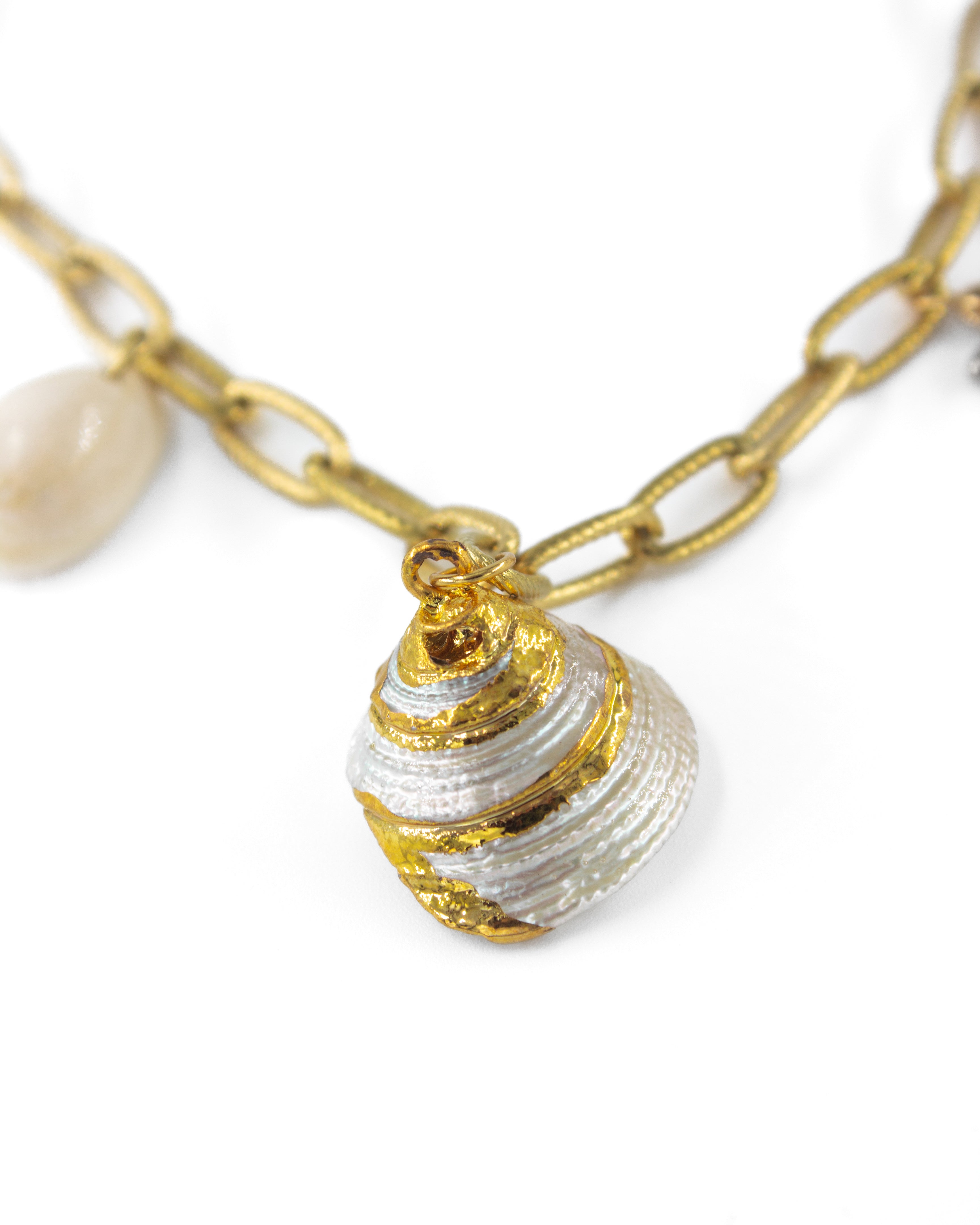 COASTAL CHARMLI ÇELİK KOLYE