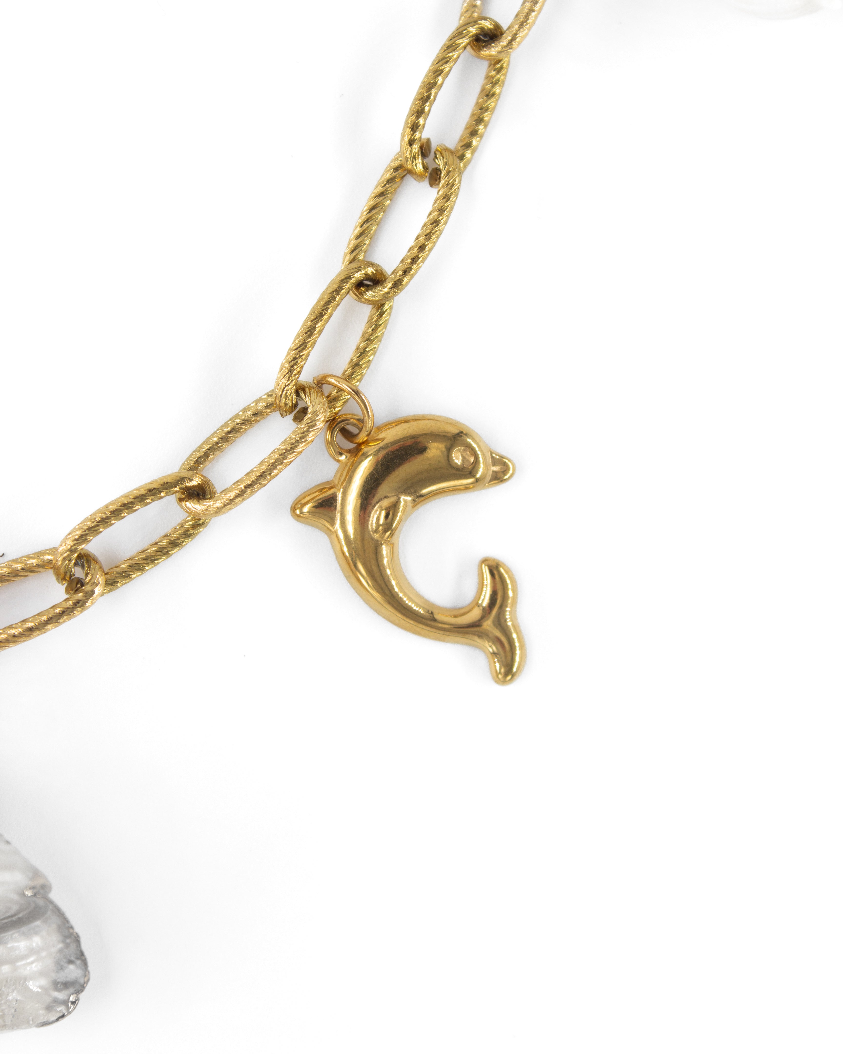 COASTAL CHARMLI ÇELİK KOLYE